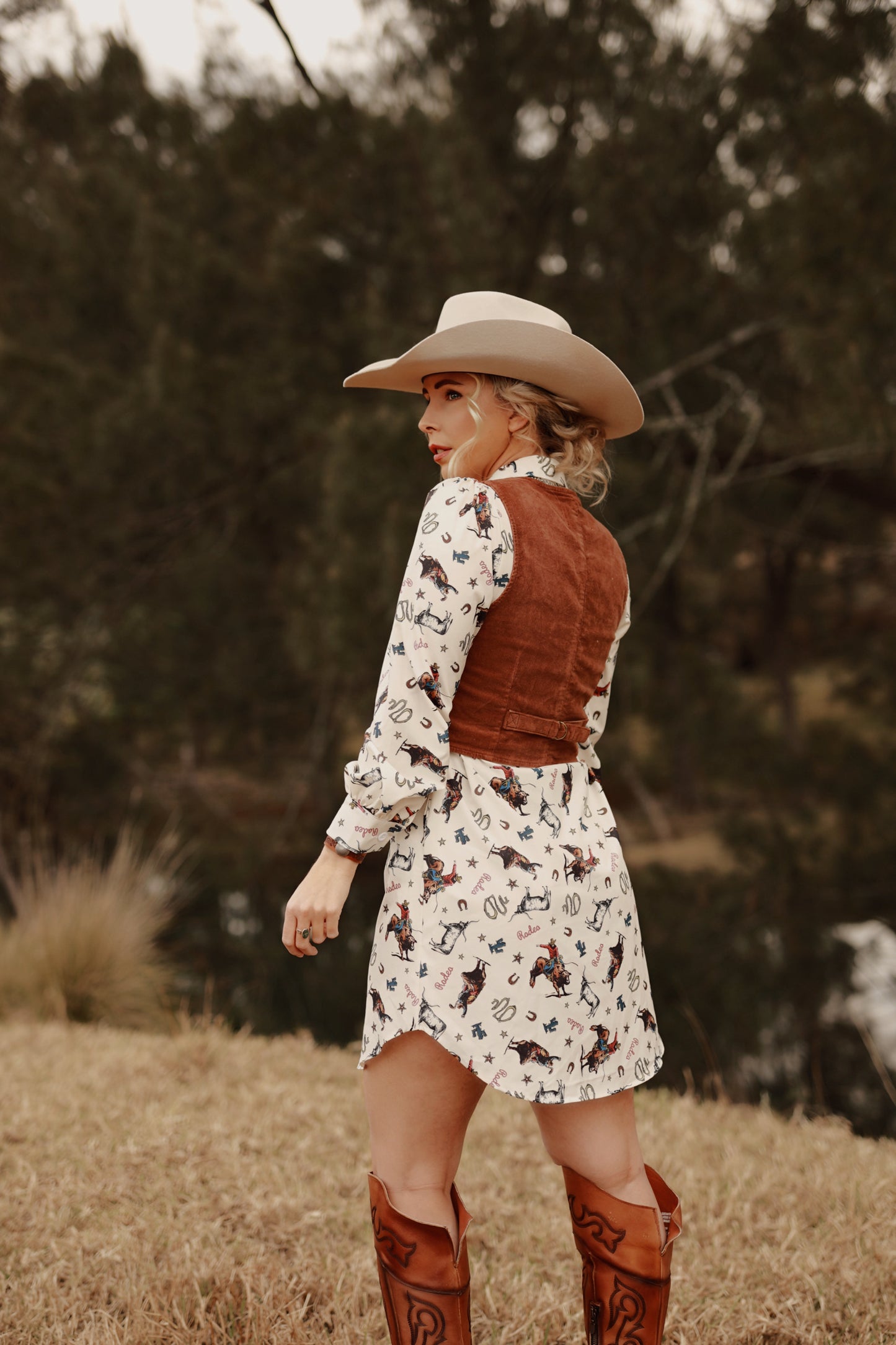 Rambling Cowboy Collar Shirt Dress
