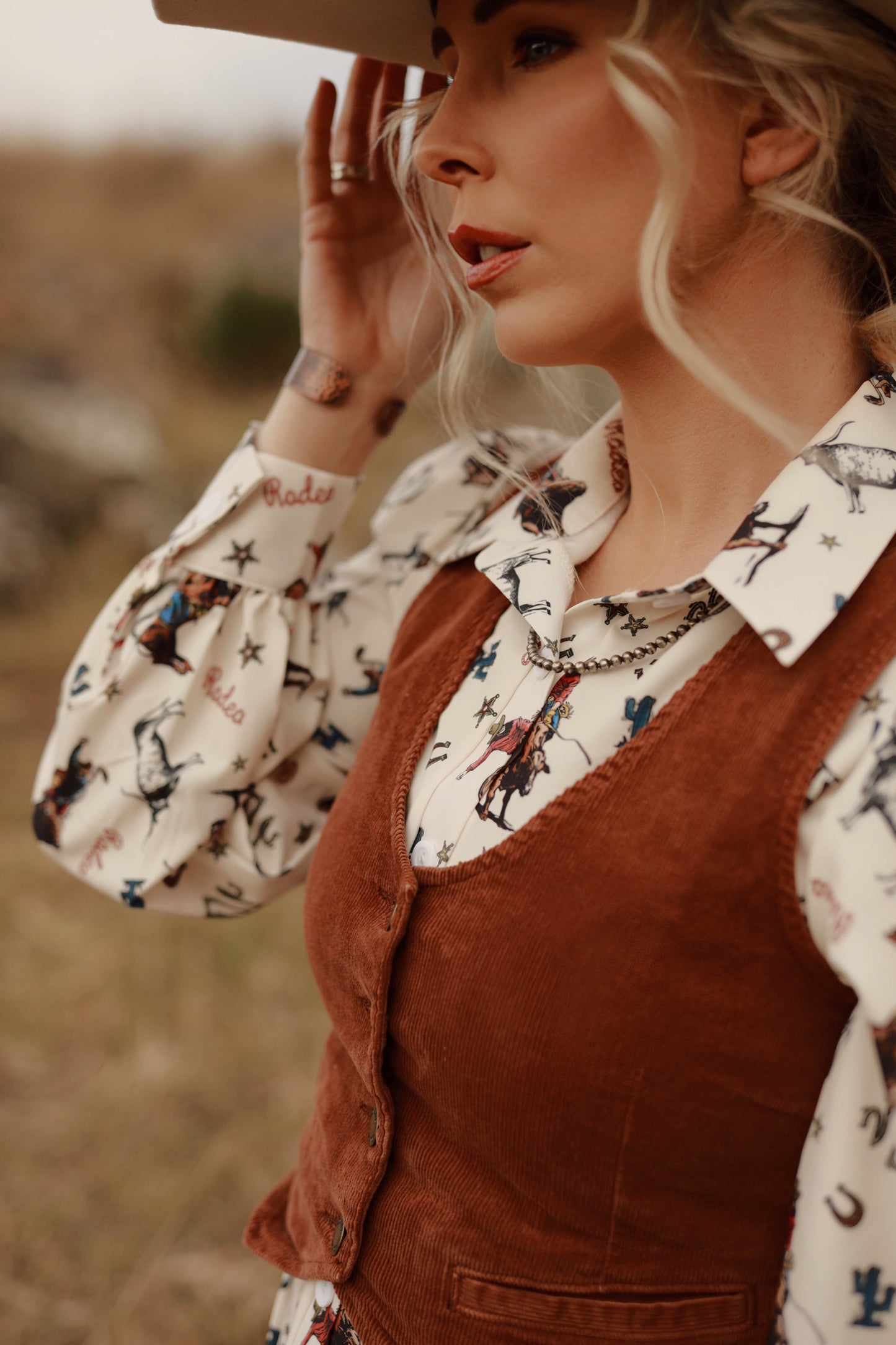 Rambling Cowboy Collar Shirt Dress