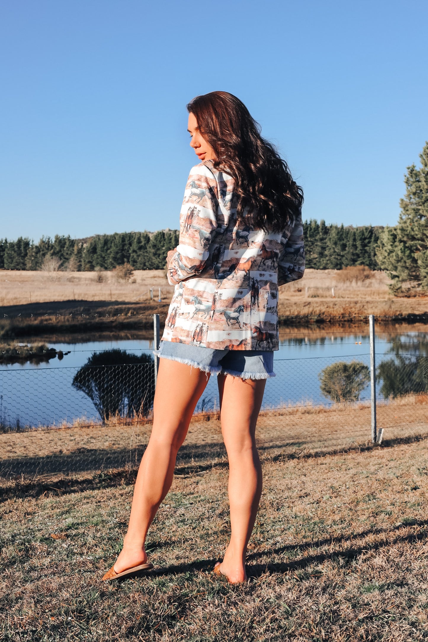 Wild Horses Blazer